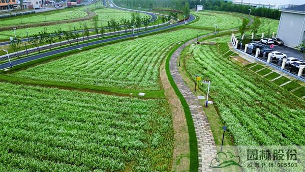 亚洲精品白浆高清久久久久久