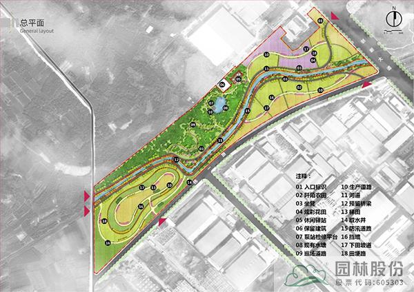 亚洲精品白浆高清久久久久久