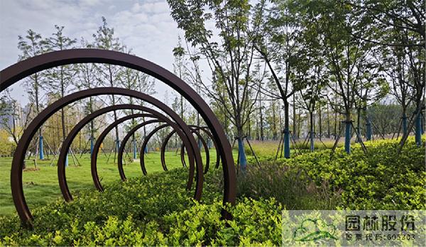 亚洲精品白浆高清久久久久久