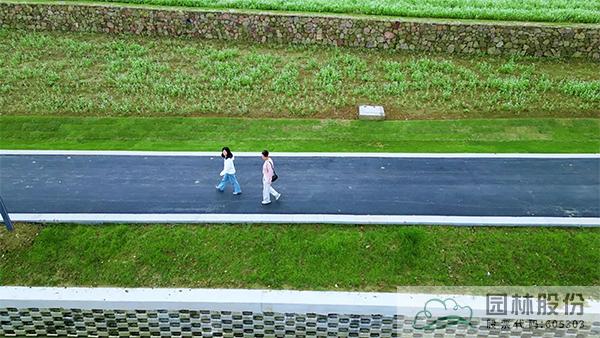 亚洲精品白浆高清久久久久久