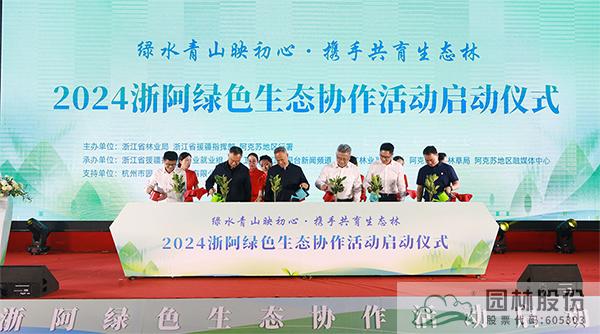 亚洲精品白浆高清久久久久久