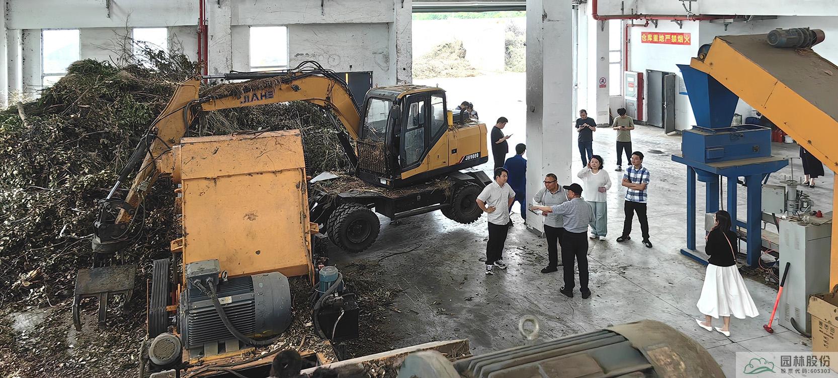 亚洲精品白浆高清久久久久久