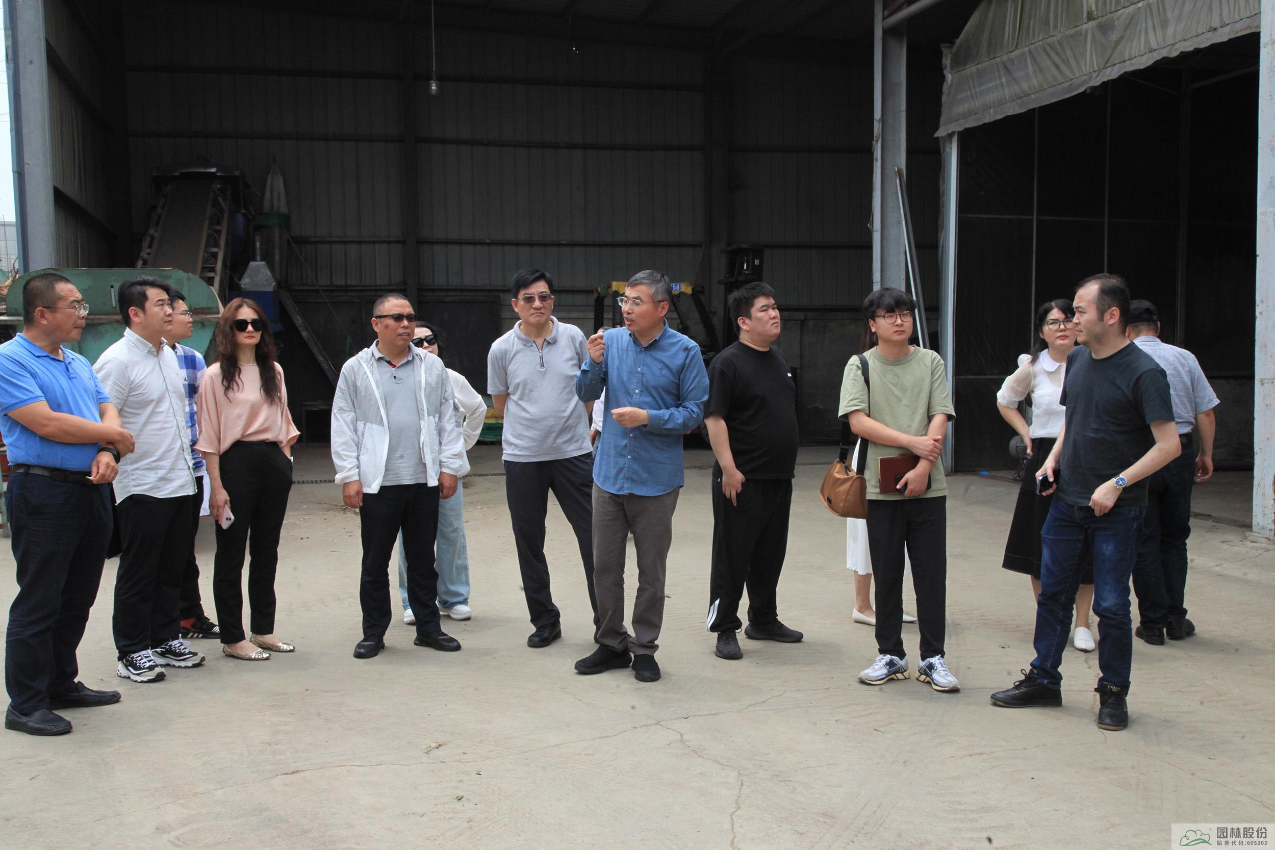 亚洲精品白浆高清久久久久久