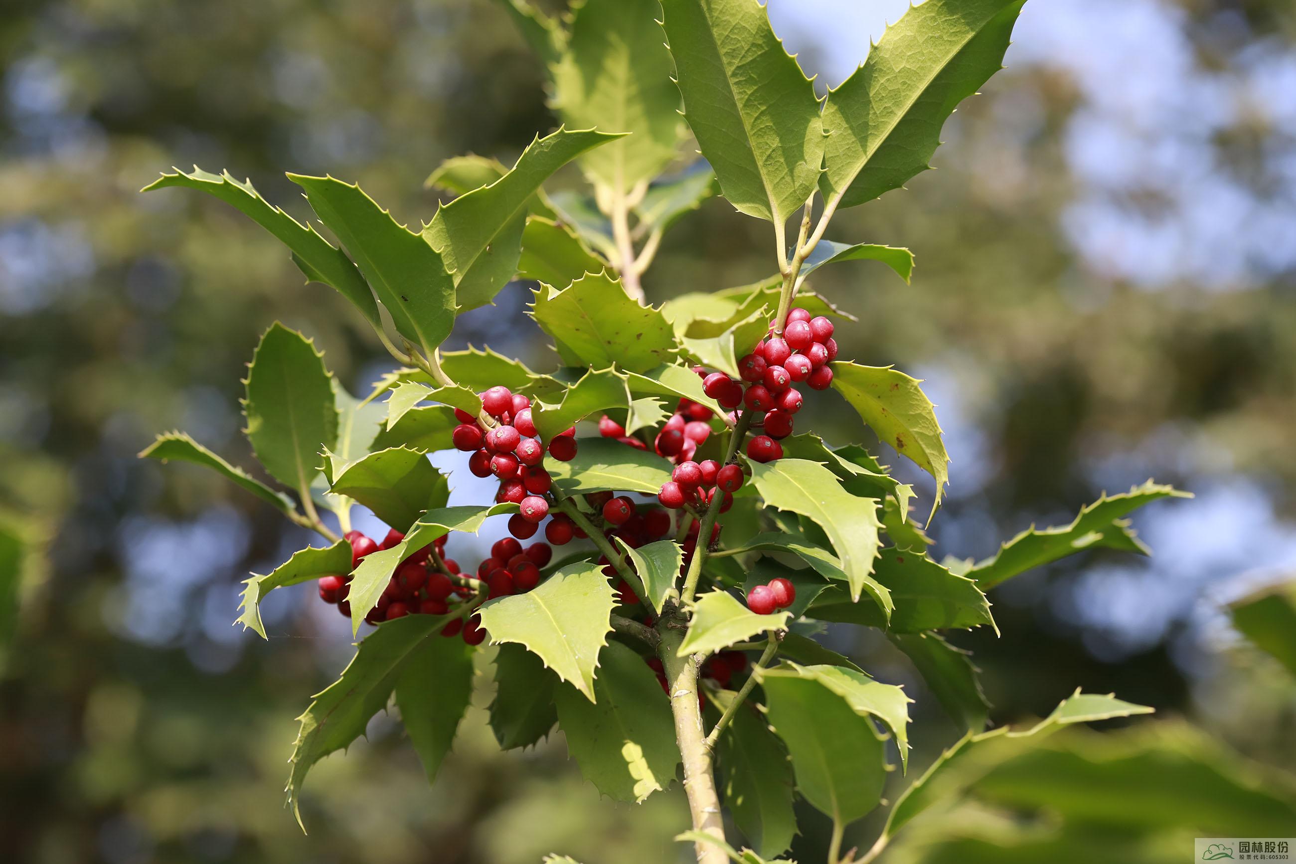 亚洲精品白浆高清久久久久久
