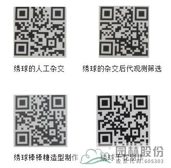 亚洲精品白浆高清久久久久久