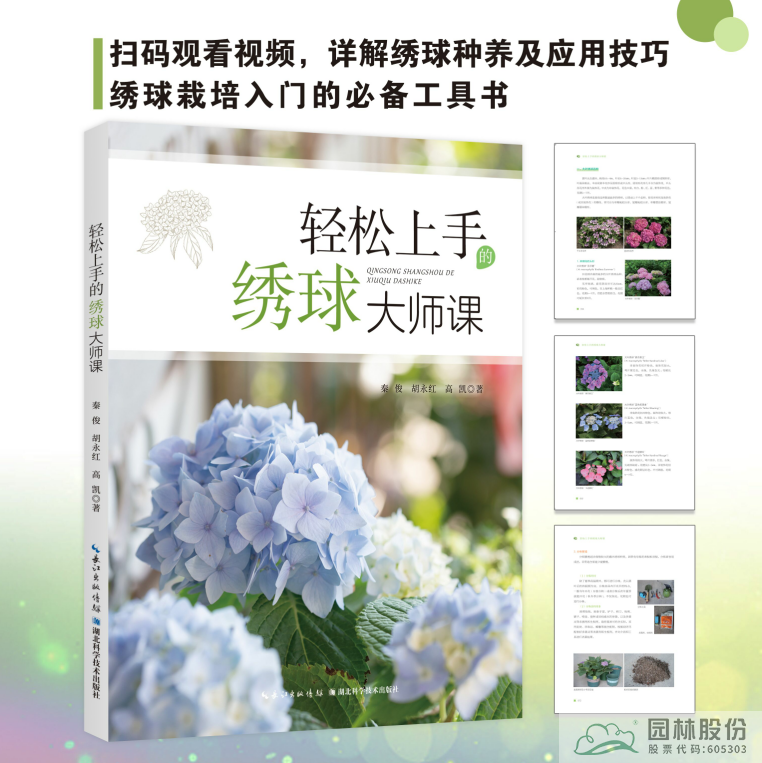 亚洲精品白浆高清久久久久久