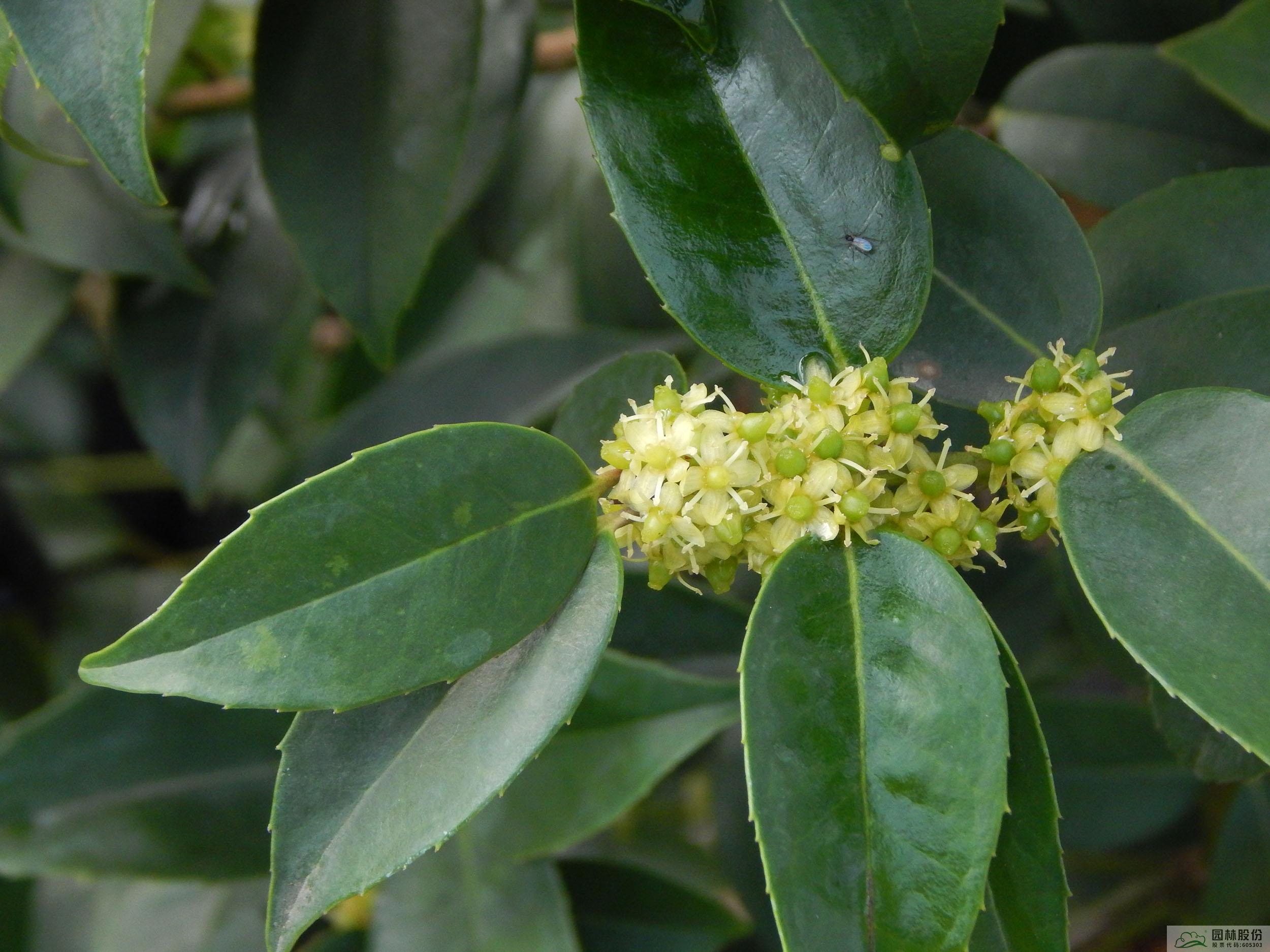 亚洲精品白浆高清久久久久久