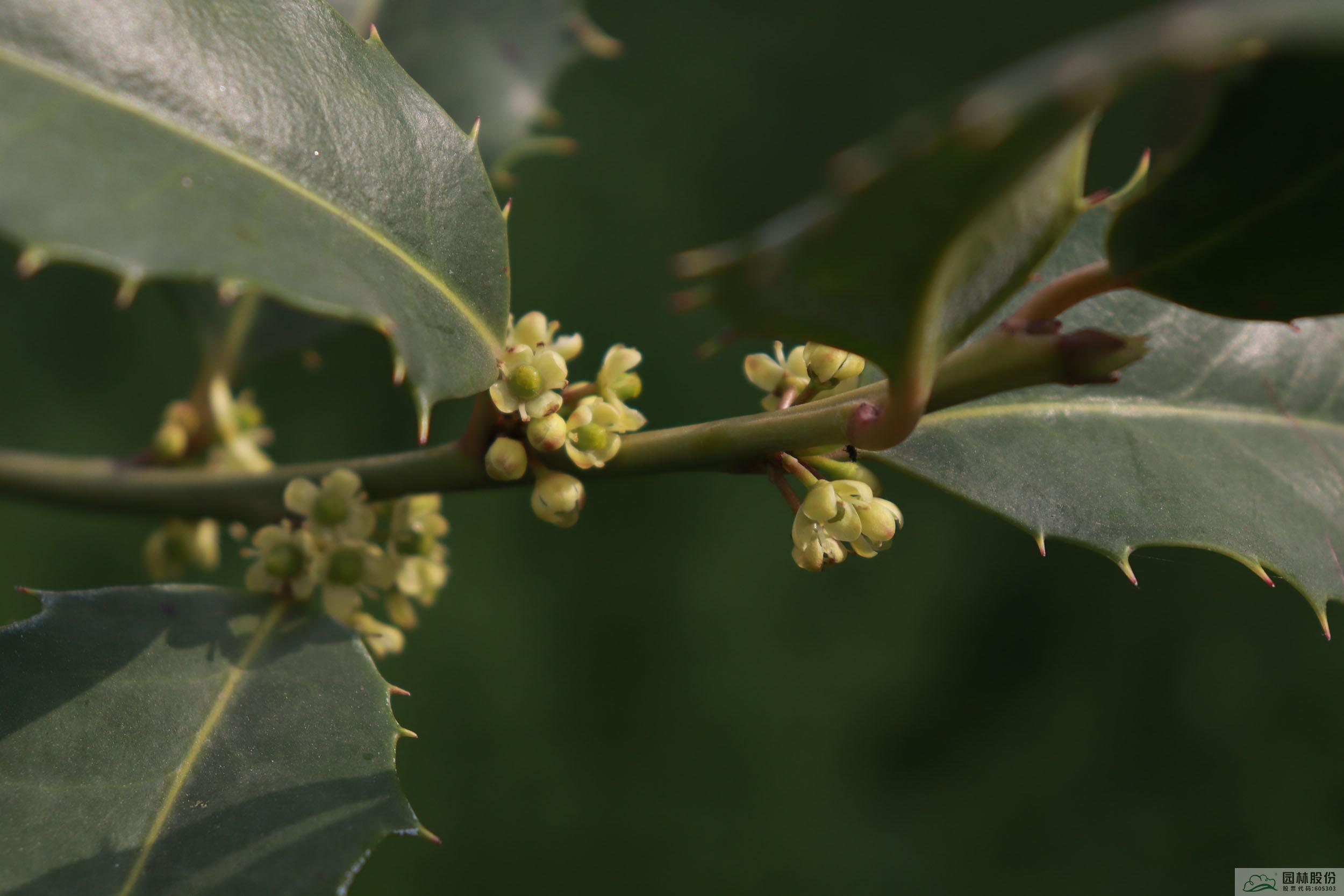 亚洲精品白浆高清久久久久久