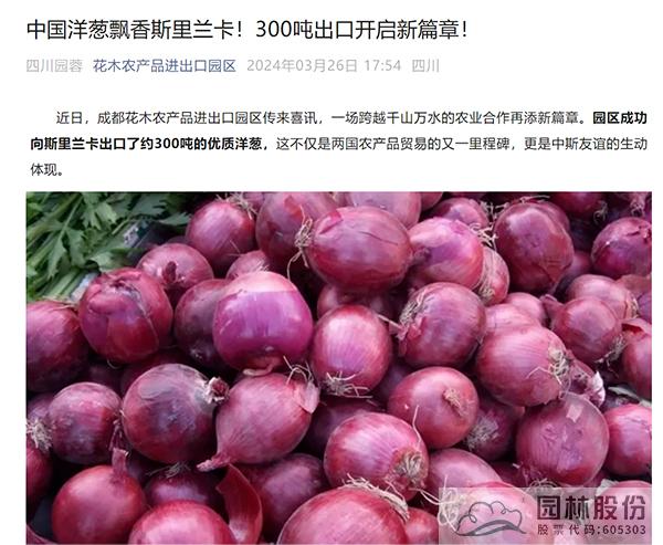 亚洲精品白浆高清久久久久久