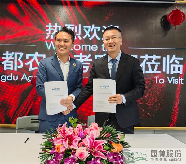 亚洲精品白浆高清久久久久久