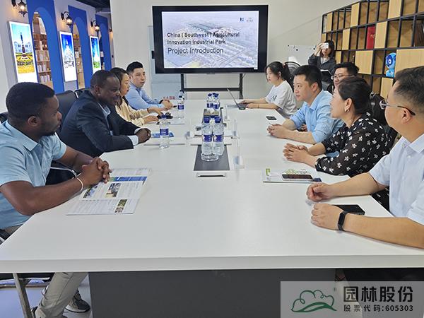 亚洲精品白浆高清久久久久久