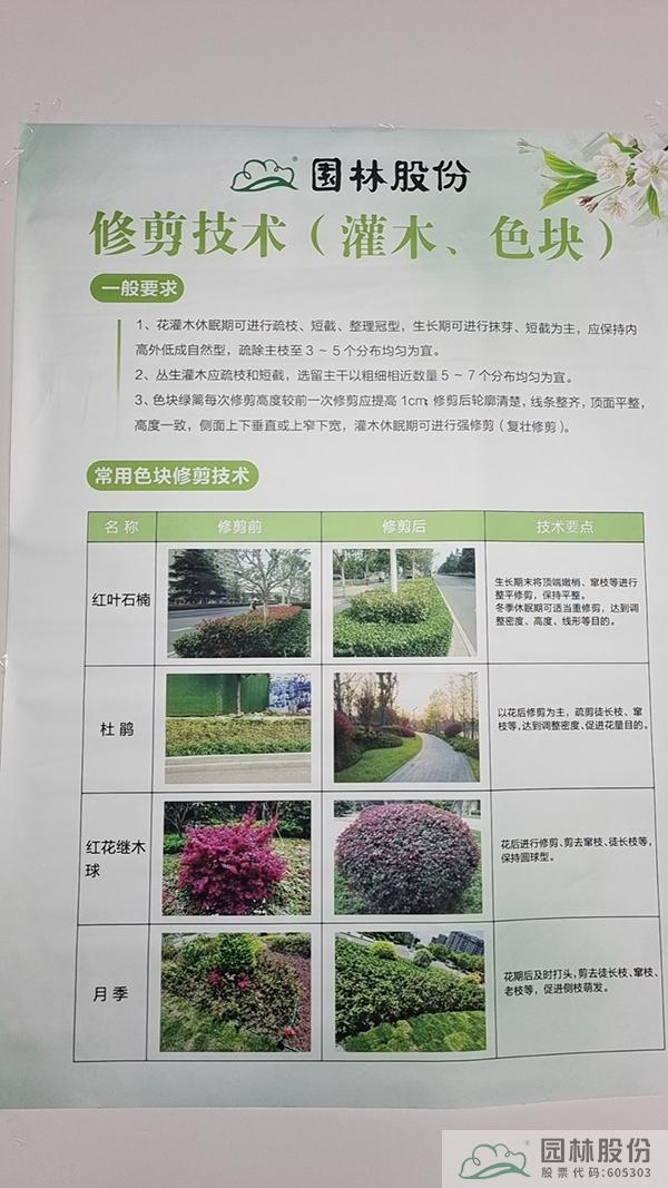 亚洲精品白浆高清久久久久久