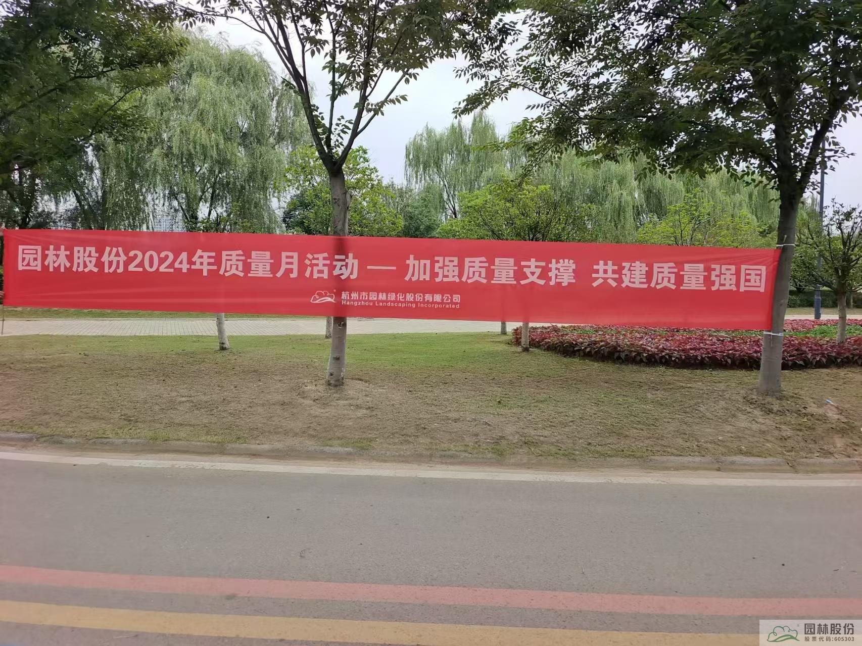 亚洲精品白浆高清久久久久久