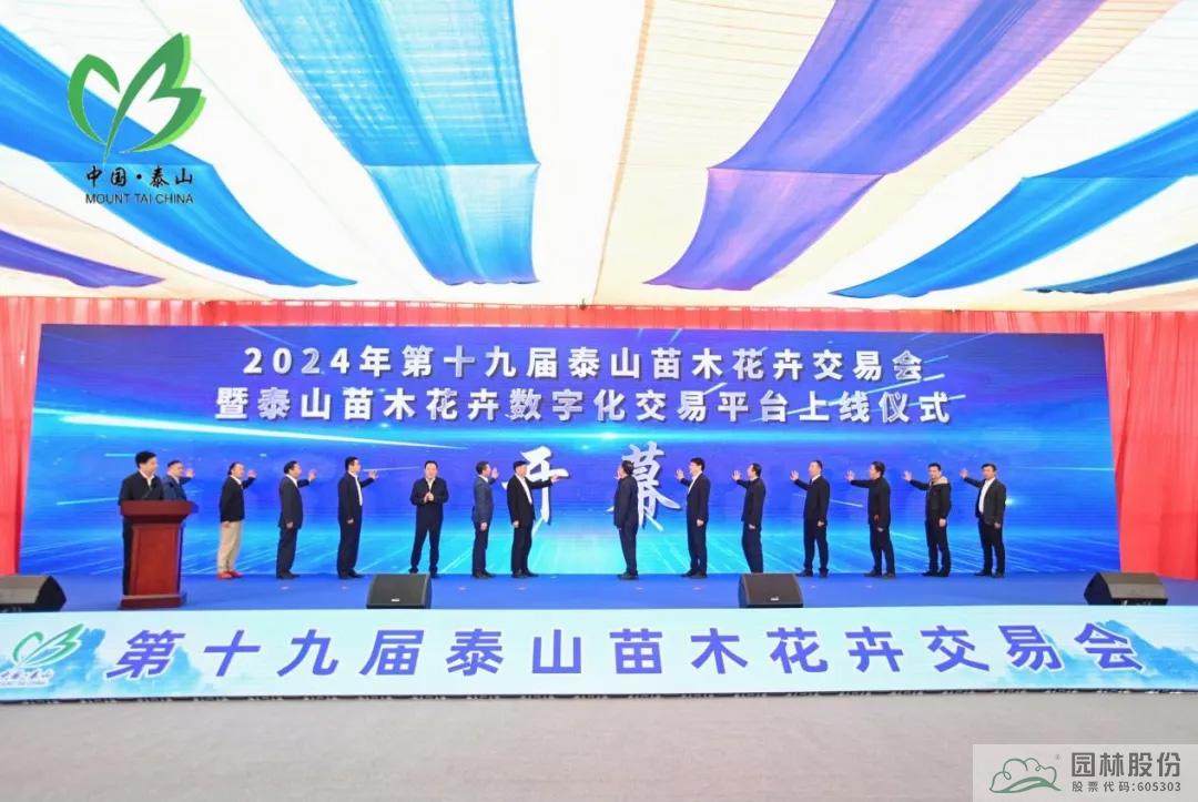 亚洲精品白浆高清久久久久久