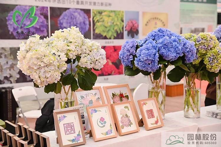 亚洲精品白浆高清久久久久久