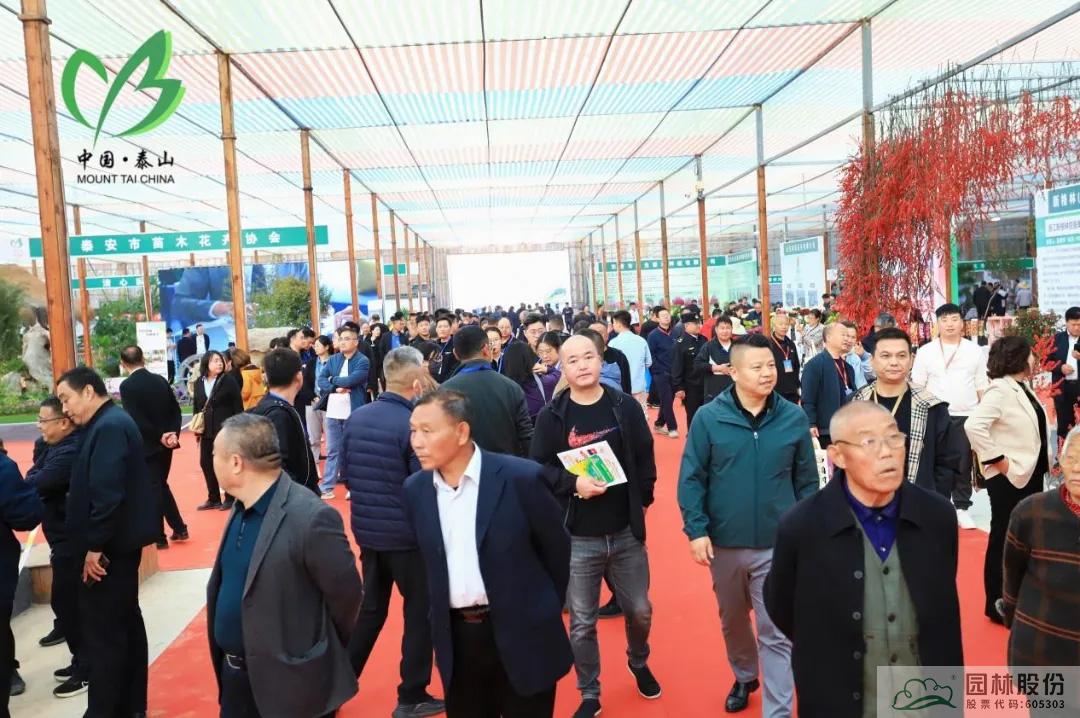 亚洲精品白浆高清久久久久久