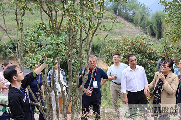 亚洲精品白浆高清久久久久久