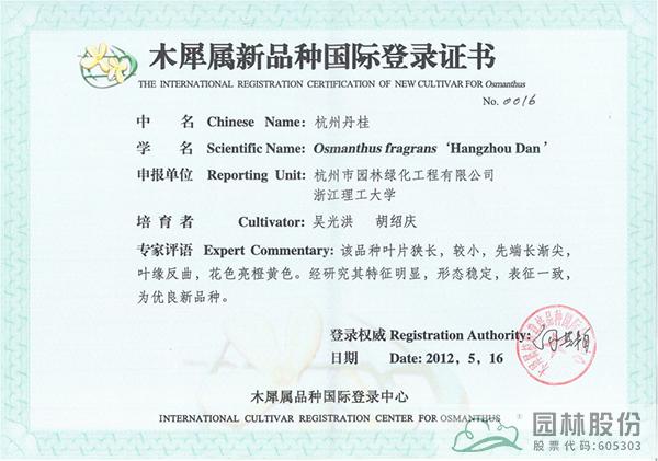 亚洲精品白浆高清久久久久久