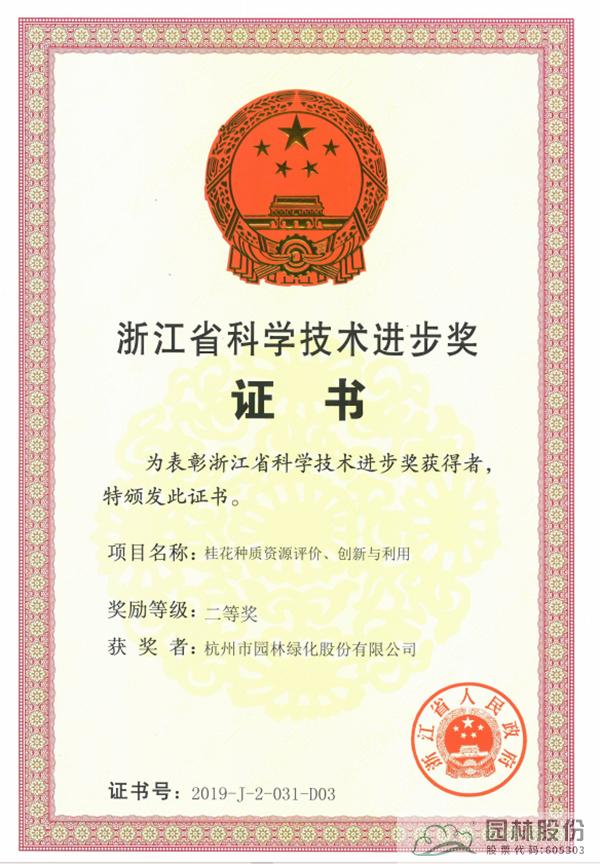 亚洲精品白浆高清久久久久久