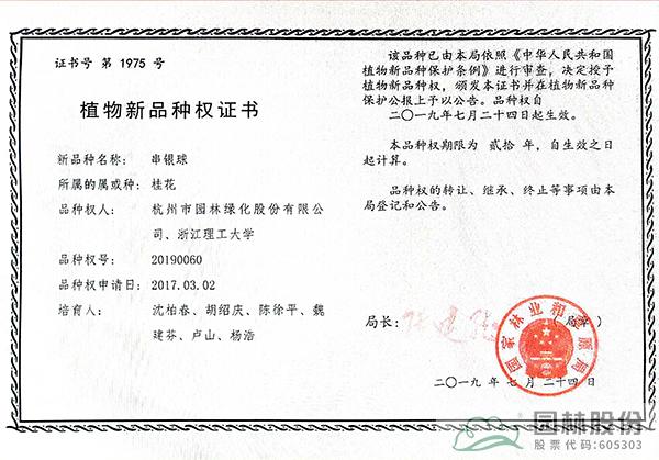 亚洲精品白浆高清久久久久久