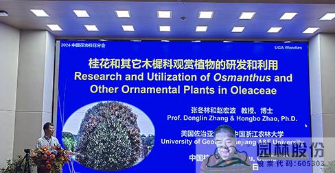 亚洲精品白浆高清久久久久久