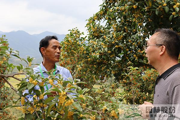 亚洲精品白浆高清久久久久久