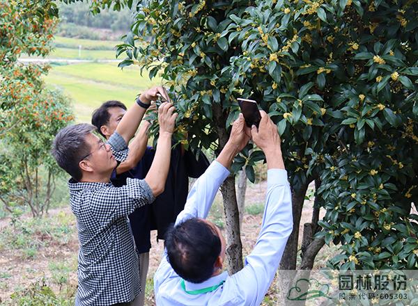 亚洲精品白浆高清久久久久久