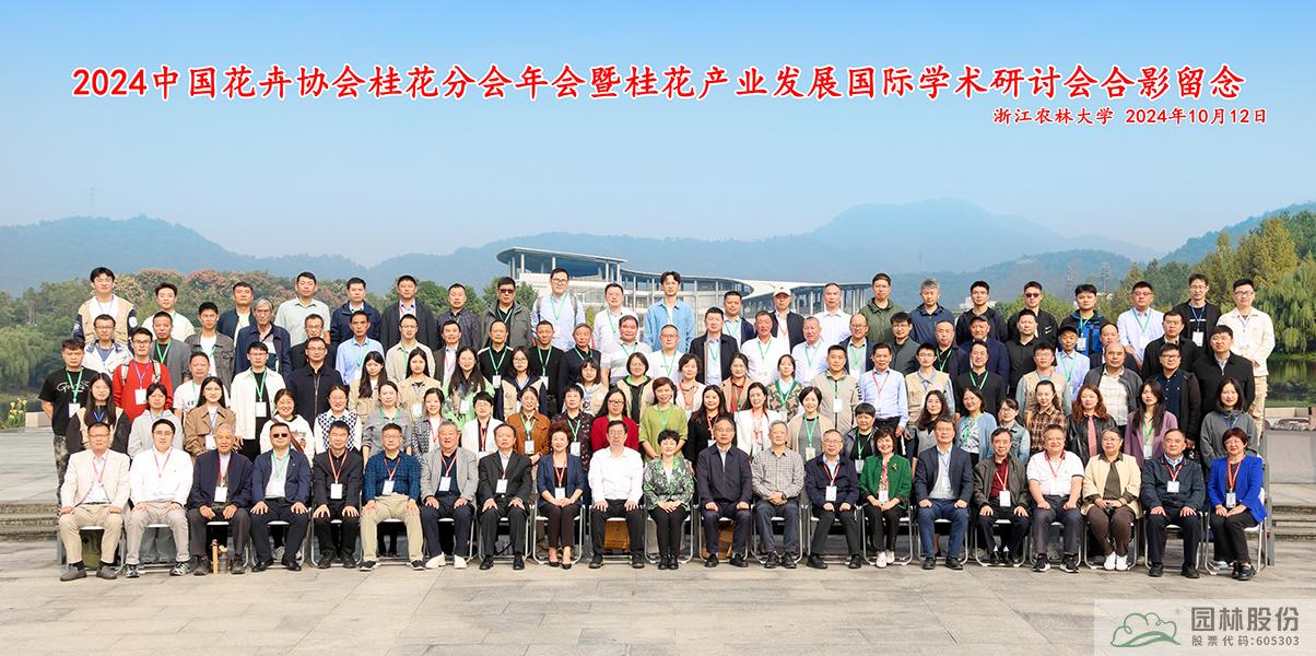 亚洲精品白浆高清久久久久久