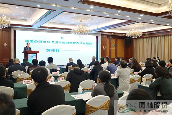 亚洲精品白浆高清久久久久久