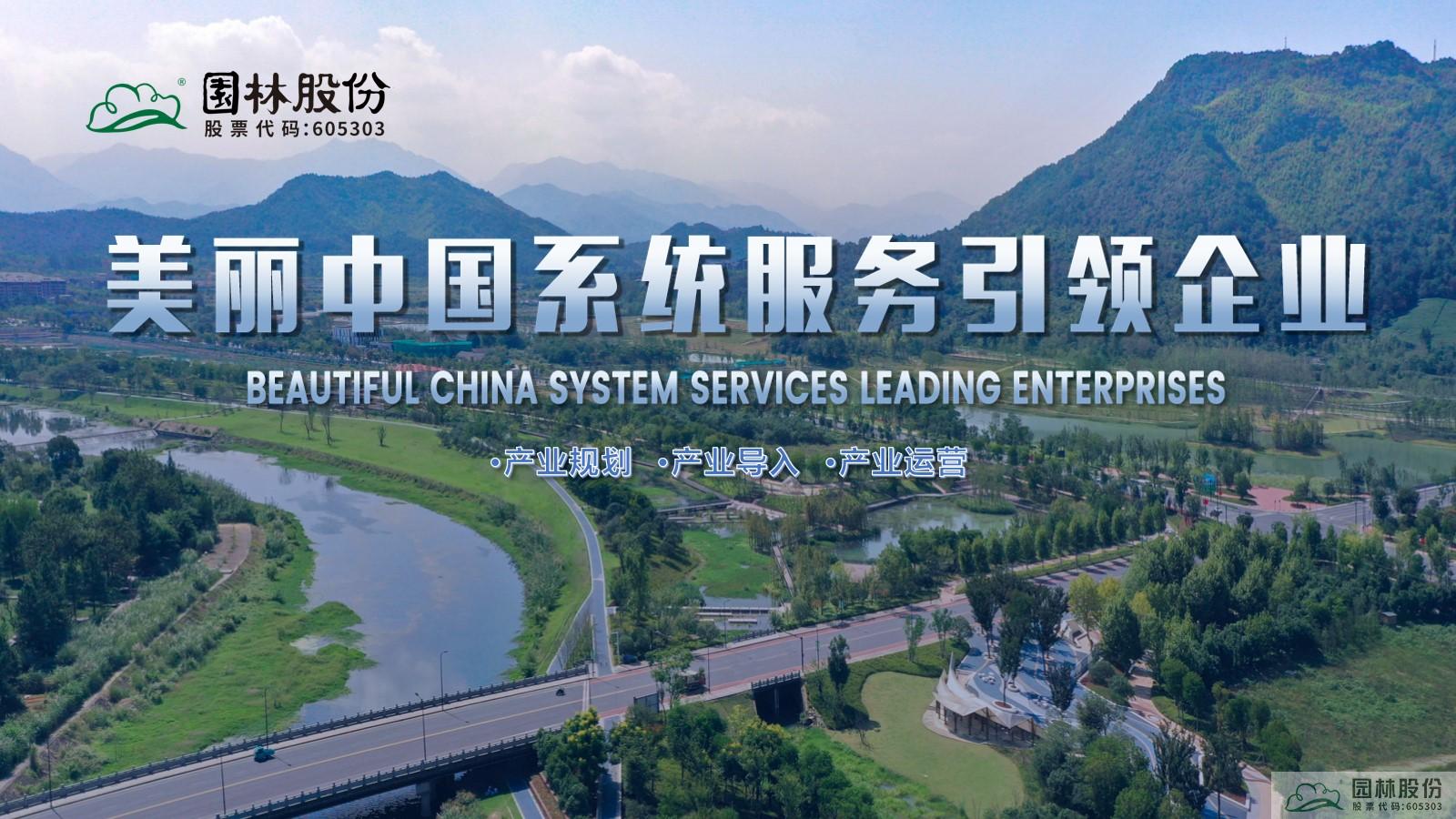 亚洲精品白浆高清久久久久久