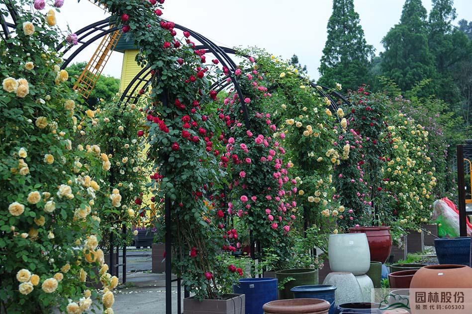 亚洲精品白浆高清久久久久久