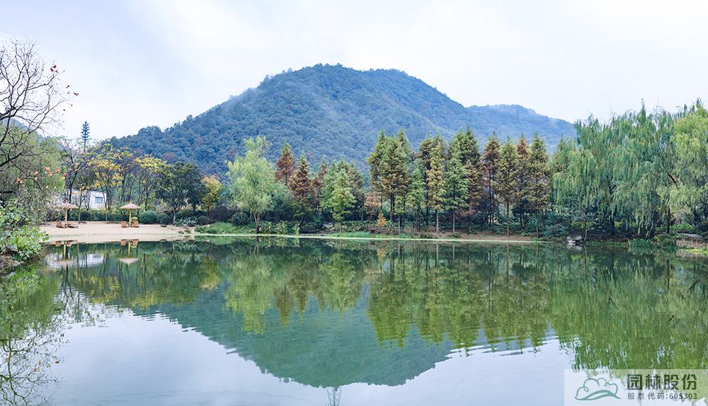 亚洲精品白浆高清久久久久久