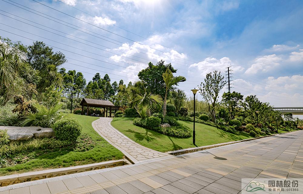 亚洲精品白浆高清久久久久久