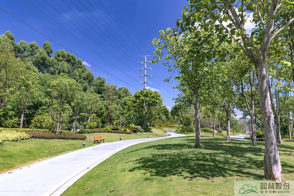 亚洲精品白浆高清久久久久久