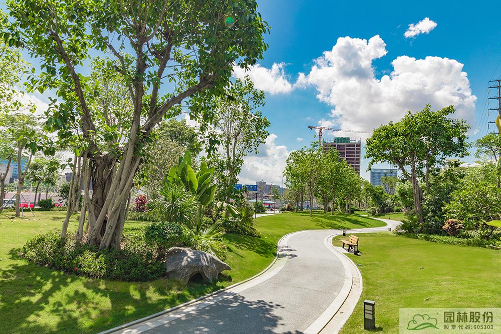 亚洲精品白浆高清久久久久久