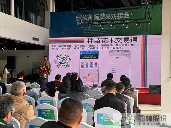 亚洲精品白浆高清久久久久久