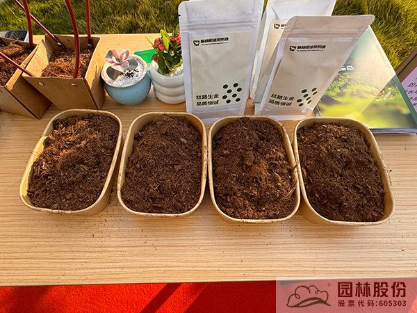 亚洲精品白浆高清久久久久久