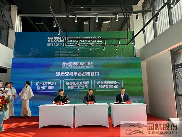 亚洲精品白浆高清久久久久久