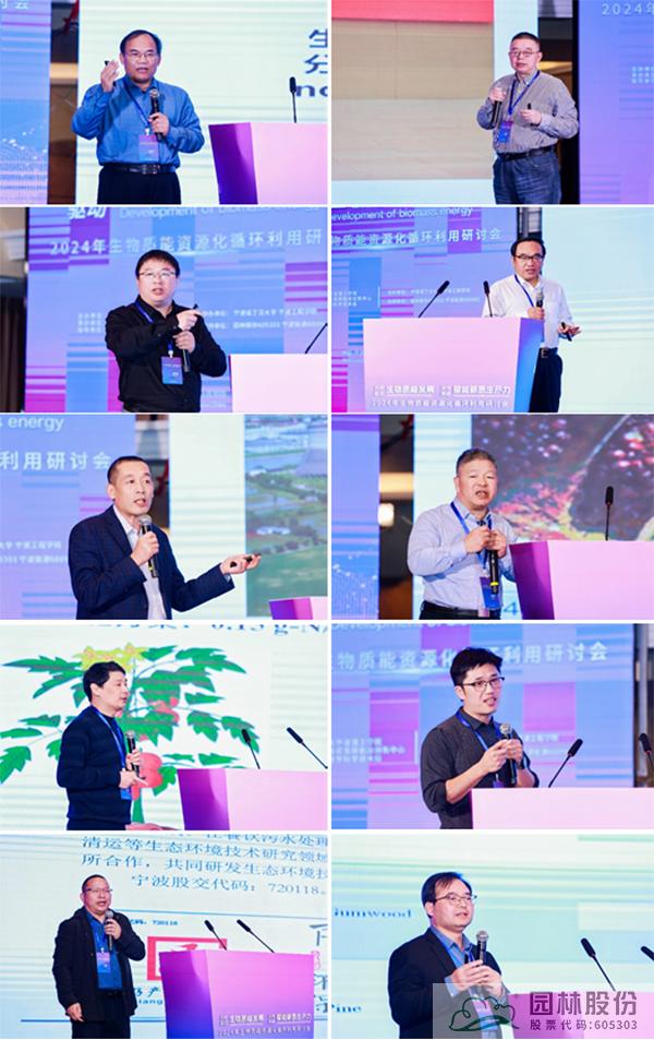 亚洲精品白浆高清久久久久久