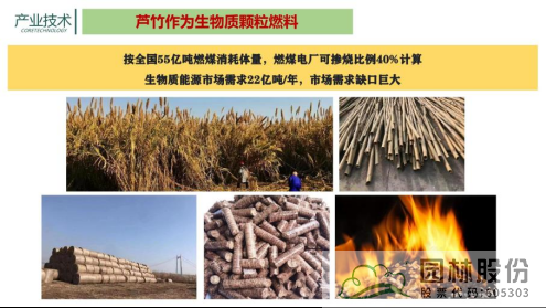 亚洲精品白浆高清久久久久久