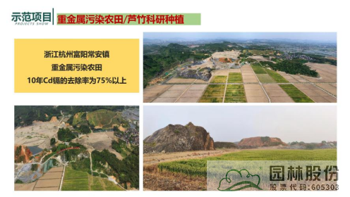 亚洲精品白浆高清久久久久久