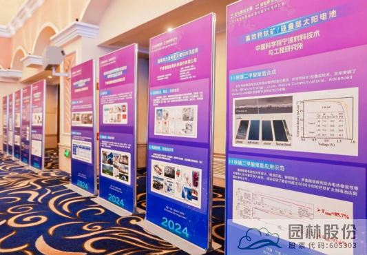 亚洲精品白浆高清久久久久久