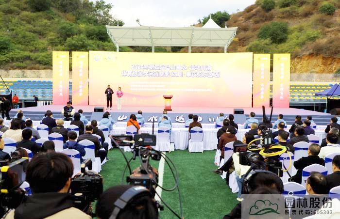 亚洲精品白浆高清久久久久久