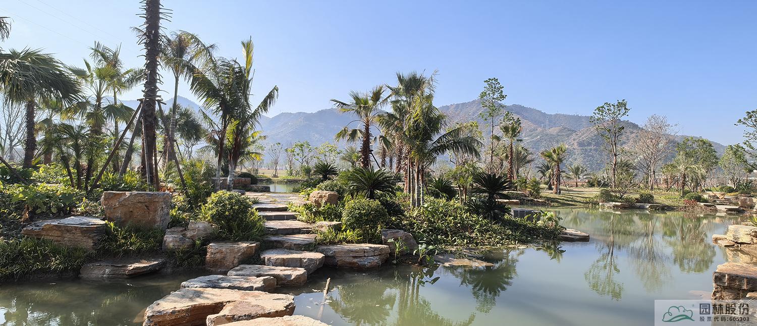 亚洲精品白浆高清久久久久久