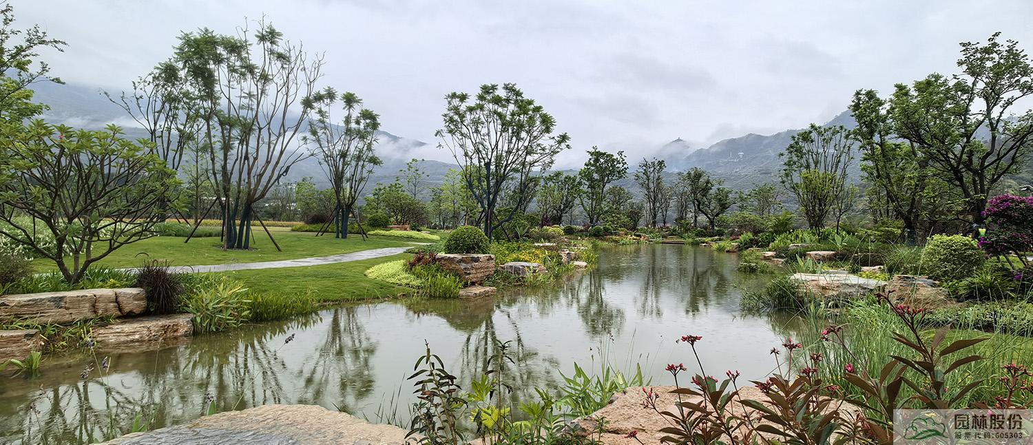 亚洲精品白浆高清久久久久久