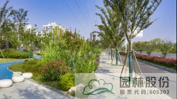 亚洲精品白浆高清久久久久久