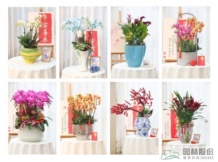 亚洲精品白浆高清久久久久久