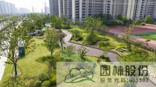 亚洲精品白浆高清久久久久久