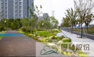 亚洲精品白浆高清久久久久久