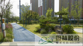 亚洲精品白浆高清久久久久久